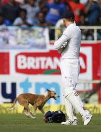 New pictures of <i class="tbold">india and england match</i>