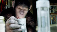 Check out our latest images of <i class="tbold">rise of the planet of the apes.</i>