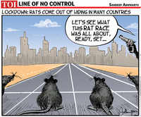 Rat Race