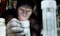 See the latest photos of <i class="tbold">rise of the planet of the apes</i>