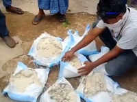 Stale rice being served to <i class="tbold">migrant workers</i>
