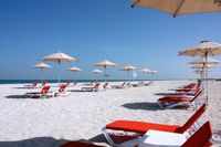 New pictures of <i class="tbold">beach club</i>