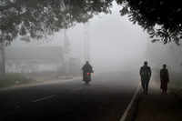Check out our latest images of <i class="tbold">delhi shivers</i>
