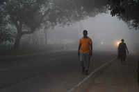New pictures of <i class="tbold">delhi shivers</i>