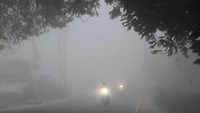 Click here to see the latest images of <i class="tbold">delhi shivers</i>