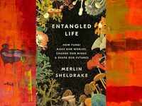 ​‘Entangled Life’ by <i class="tbold">merlin</i> Sheldrake