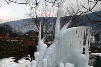 See the latest photos of <i class="tbold">kashmir cold</i>