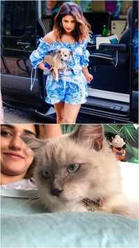 Bollywood pets who are Instagram sensations
