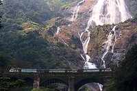 See the latest photos of <i class="tbold">dudhsagar waterfalls</i>