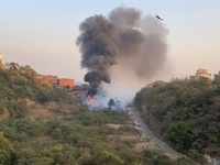 Fire in <i class="tbold">aarey colony</i>