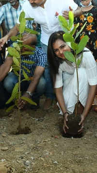 Ramya plants <i class="tbold">saplings</i> on V-Day