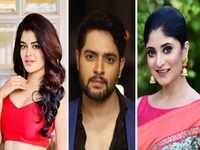 Madhumita Sarcar to Vikram Chatterjee: Popular actors who are giving the small screen a miss