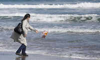 Check out our latest images of <i class="tbold">fukushima disaster</i>