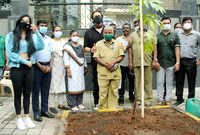 New pictures of <i class="tbold">tree plantation drive</i>