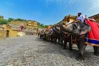 Jaipur's monuments reopened for visitors
