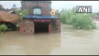 Check out our latest images of <i class="tbold">bengal floods</i>