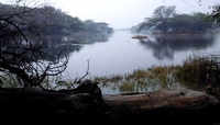 See the latest photos of <i class="tbold">sultanpur bird sanctuary</i>
