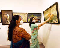 Trending photos of <i class="tbold">wildlife photography exhibition</i> on TOI today