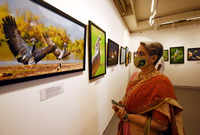 See the latest photos of <i class="tbold">wildlife photography exhibition</i>