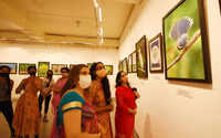 Click here to see the latest images of <i class="tbold">wildlife photography exhibition</i>