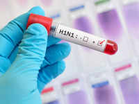 Swine flu (<i class="tbold">h1n1</i>)