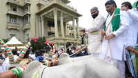 <i class="tbold">bullock</i> cart ride to protest against fuel price hike