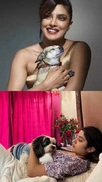 Bollywood actresses who found their 'paw-fect' best friends in their pets