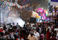 Check out our latest images of <i class="tbold">carnival festival</i>