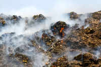 Bhalswa landfill fire