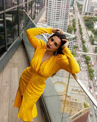 TV actress Shama Sikander's <i class="tbold">gorgeous photo</i>s shake up the internet