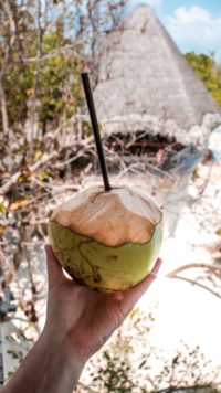 ​Coconut water contains antioxidants which protect the body from free radicals.​