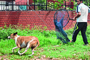 Sanjay Gandhi Animal Care Centre: Latest News, Videos and Photos of Sanjay  Gandhi Animal Care Centre | Times of India