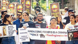 People For Animals Trust: Latest News, Videos and Photos of People For Animals  Trust | Times of India
