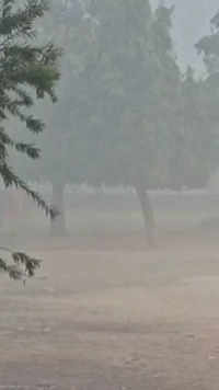 Dense fog in <i class="tbold">East Delhi</i>