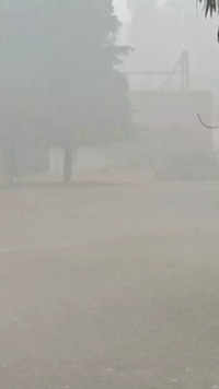 <i class="tbold">fog</i> shrouds Delhi