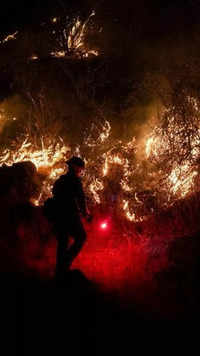 Near Midpines Park as the Oak Fire burns near Mariposa, California, in July