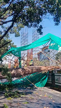 Bengaluru metro structure falls; techie & kid die