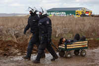 Check out our latest images of <i class="tbold">german police</i>