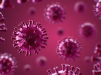 ​H3N2 virus is a non-human influenza virus​