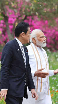 ​Japanese prime minister describes India as 'indispensable partner'​