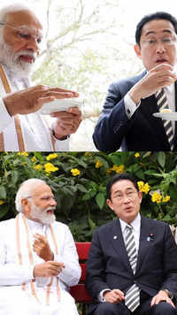 Post talks, PM Modi, Japan's Kishida relish golgappas, idlis at Buddha Jayanti Park