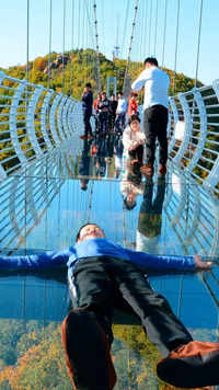 Glass Bridge In China: Latest News, Videos and Photos of Glass Bridge ...