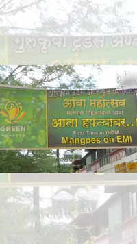Mangoes on EMI