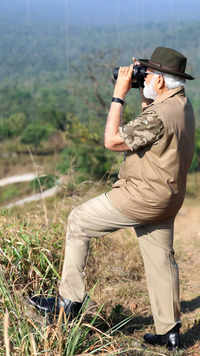 PM's jungle safari at Bandipur Tiger Reserve