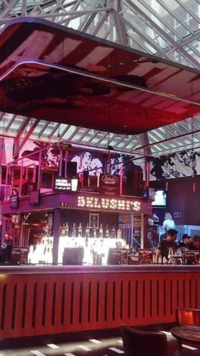 Belushi's <i class="tbold">red light</i> district bar
