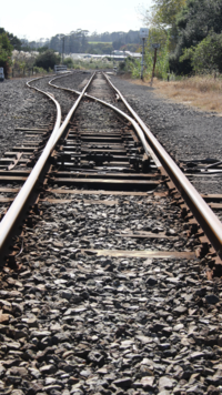 ​Do you know why <i class="tbold">railway track</i>s have crushed stones alongside?