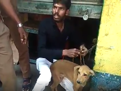 Man protests against Valentine's Day celebrations, ties mangalsutra to dog