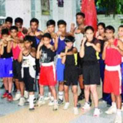Thane boxers perform well and  enter state boxing championship