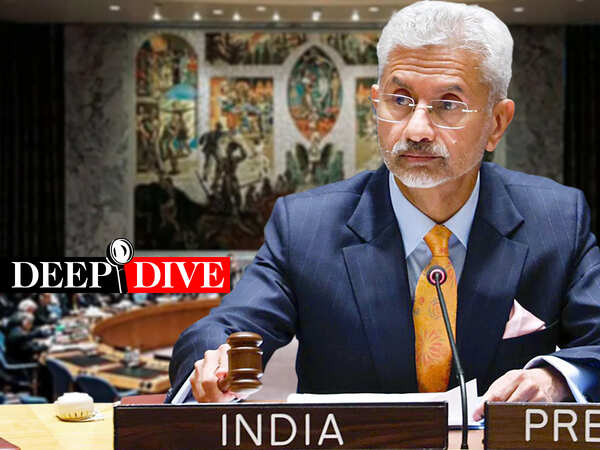 Why Jaishankar set record straight on Pakistan at UNSC 