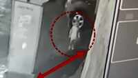 Mumbai: 2-yr-old falls into open manhole, search operations underway 